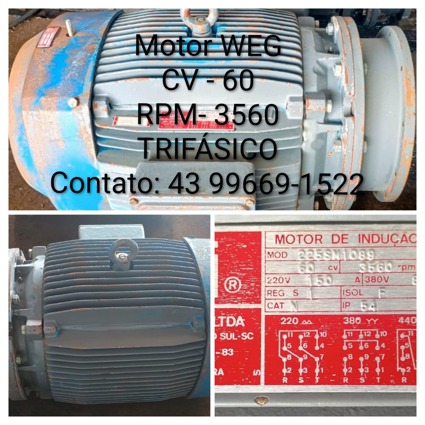 MOTOR WEG